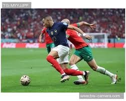 海港主帅穆斯卡特荣膺2024赛季中超最佳教练